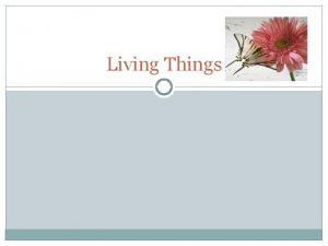 Living Things What Makes something alive Which of