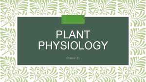 PLANT PHYSIOLOGY Chapter 21 Plants Plants are very