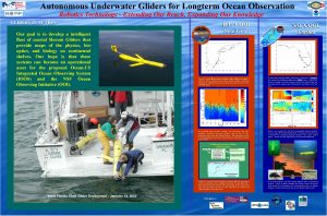 Autonomous Underwater Gliders for Longterm Ocean Observation Robotics