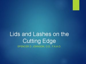 Lids and Lashes on the Cutting Edge SPENCER