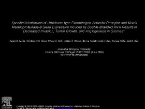Specific Interference of Urokinasetype Plasminogen Activator Receptor and