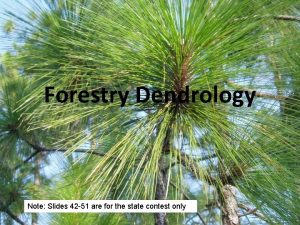 Forestry Dendrology Note Slides 42 51 are for