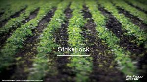 Strike Lock 2016 Win Field is a registered