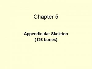 Chapter 5 Appendicular Skeleton 126 bones Shoulder Girdle