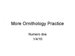 More Ornithology Practice Numero dos 1410 A B