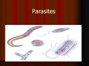 Parasites Symbiosis l When two species live closely