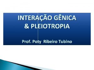 INTERAO GNICA PLEIOTROPIA Prof Poty Ribeiro Tubino ATENO