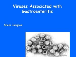 Viruses Associated with Gastroenteritis Ghazi Jamjoom VIRAL AGENTS