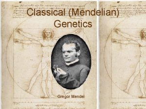 Classical Mendelian Genetics Gregor Mendel Vocabulary Genetics The