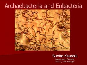 Archaebacteria and Eubacteria Sunita Kaushik Department of Botany