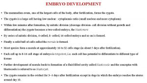 EMBRYO DEVELOPMENT The mammalian ovum one of the