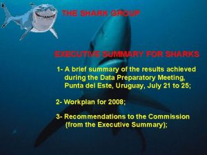 THE SHARK GROUP EXECUTIVE SUMMARY FOR SHARKS 1