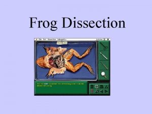 Frog Dissection Scientists believe other vertebrates evolved from