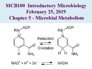 MCB 100 Introductory Microbiology February 25 2019 Chapter