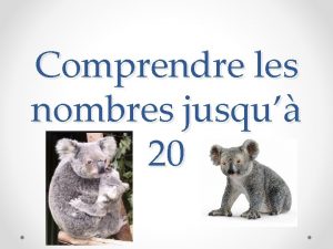 Comprendre les nombres jusqu 20 Pour ce module