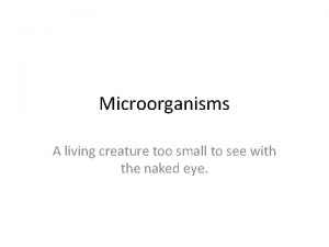 Microorganisms A living creature too small to see