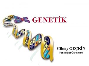 GENETK Gnay GEKN Fen Bilgisi retmeni DNA moleklnn