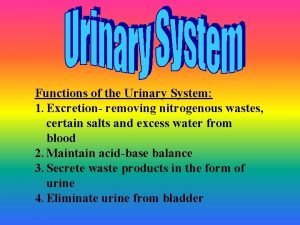 Functions of the Urinary System 1 Excretion removing