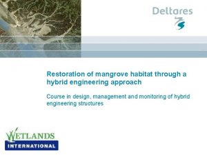 Restoration of mangrove habitat through a hybrid engineering