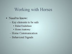 Working with Horses Need to know Key elements