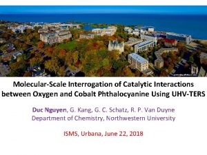 MolecularScale Interrogation of Catalytic Interactions between Oxygen and