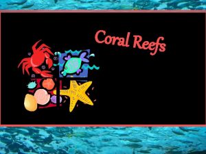 Coral Reefs What is a Coral Reef Exactly
