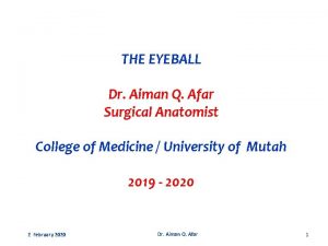 THE EYEBALL Dr Aiman Q Afar Surgical Anatomist