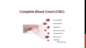 Complete Blood Count CBC Objectives 1 To estimate