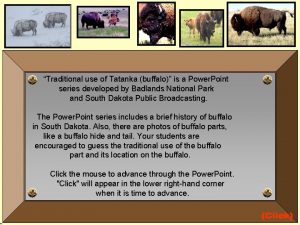 Traditional use of Tatanka buffalo is a Power