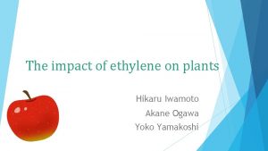 The impact of ethylene on plants Hikaru Iwamoto