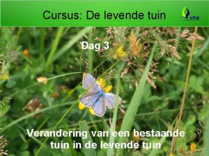 Cursus De levende tuin Dag 3 Verandering van