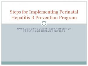 Steps for Implementing Perinatal Hepatitis B Prevention Program