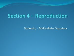 Section 4 Reproduction National 5 Multicellular Organisms Learning