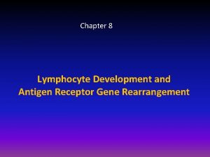 Chapter 8 Lymphocyte Development and Antigen Receptor Gene