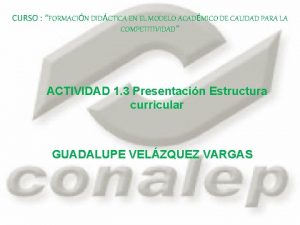 CURSO FORMACIN DIDCTICA EN EL MODELO ACADMICO DE