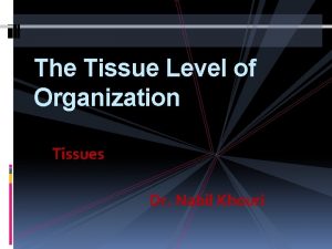The Tissue Level of Organization Tissues Dr Nabil