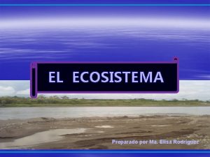 EL ECOSISTEMA Preparado por Ma Elisa Rodrguez Un