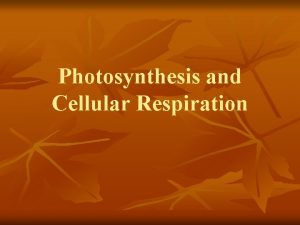 Photosynthesis and Cellular Respiration What does ADP stand