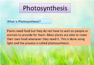 Photosynthesis What is Photosynthesis Plants need food but