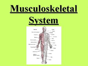 Musculoskeletal System Musculoskeletal system refers to the muscles