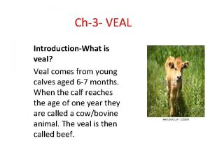 Ch3 VEAL IntroductionWhat is veal Veal comes from