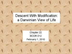 Descent With Modification a Darwinian View of Life