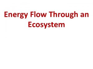 Energy Flow Through an Ecosystem copyright cmassengale 1