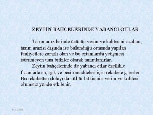 ZEYTN BAHELERNDE YABANCI OTLAR Tarm arazilerinde rnn verim