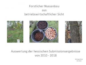 Forstlicher Nussanbau aus betriebswirtschaftlicher Sicht Auswertung der hessischen