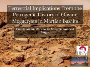 Terrestrial Implications From the Petrogenic History of Olivine