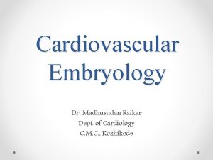 Cardiovascular Embryology Dr Madhusudan Raikar Dept of Cardiology