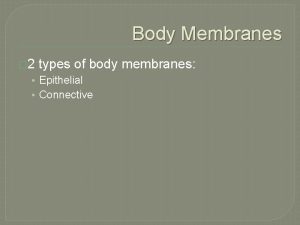 Body Membranes 2 types of body membranes Epithelial