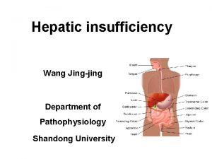 Hepatic insufficiency Wang Jingjing Department of Pathophysiology Shandong