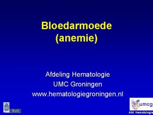 Bloedarmoede anemie Afdeling Hematologie UMC Groningen www hematologiegroningen